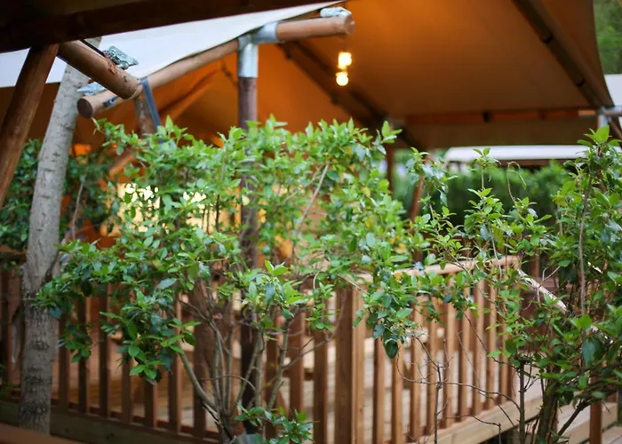 Lodges & Nature - 49